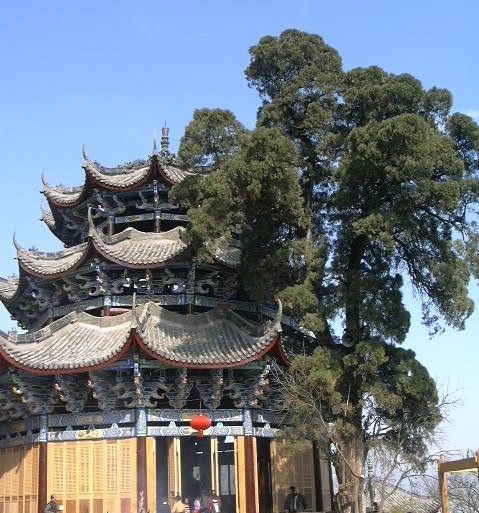 四川瀘山圖片