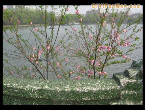 湖南濱湖公園圖片
