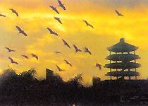 白鷺天堂圖片