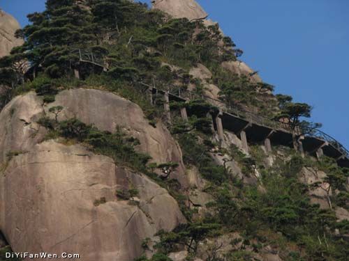 西海岸棧道圖片