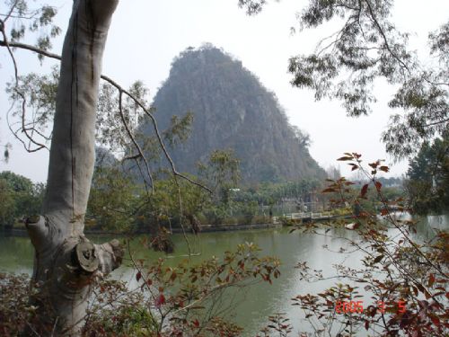 鼎湖山圖片