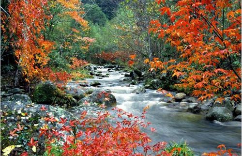 井岡山圖片