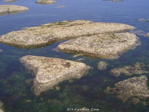 長興島圖片