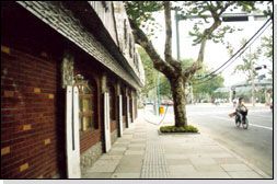 南山路圖片
