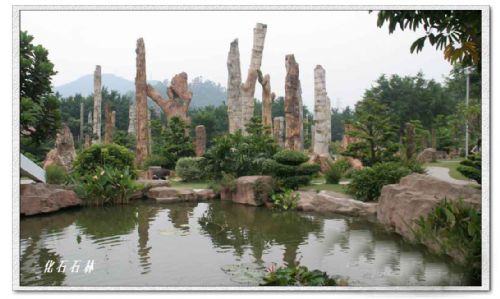 深圳仙湖植物園圖片