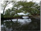 嚴田古樟