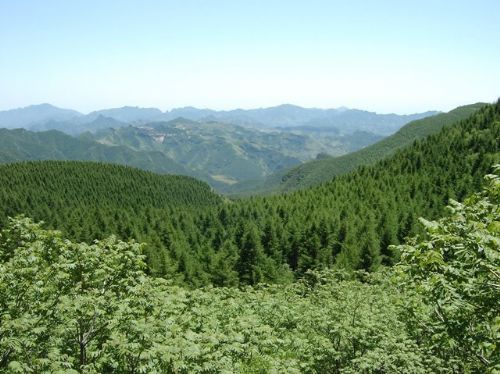 掛馬林海風景圖片