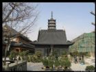 上海真如寺