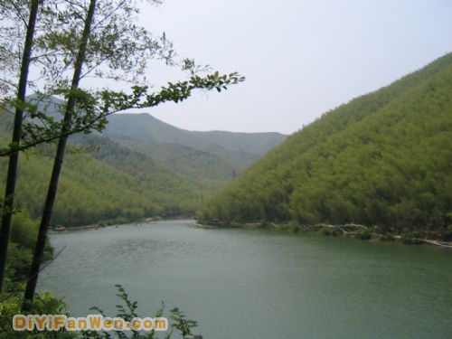 南山竹海度假區圖片