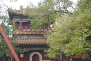 北京雍和宮圖片4圖片