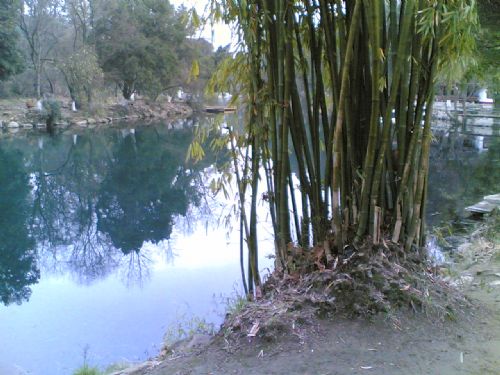 花溪公園圖片