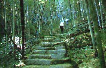 華山遊憩區圖片