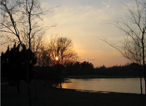 共青森林公園圖片