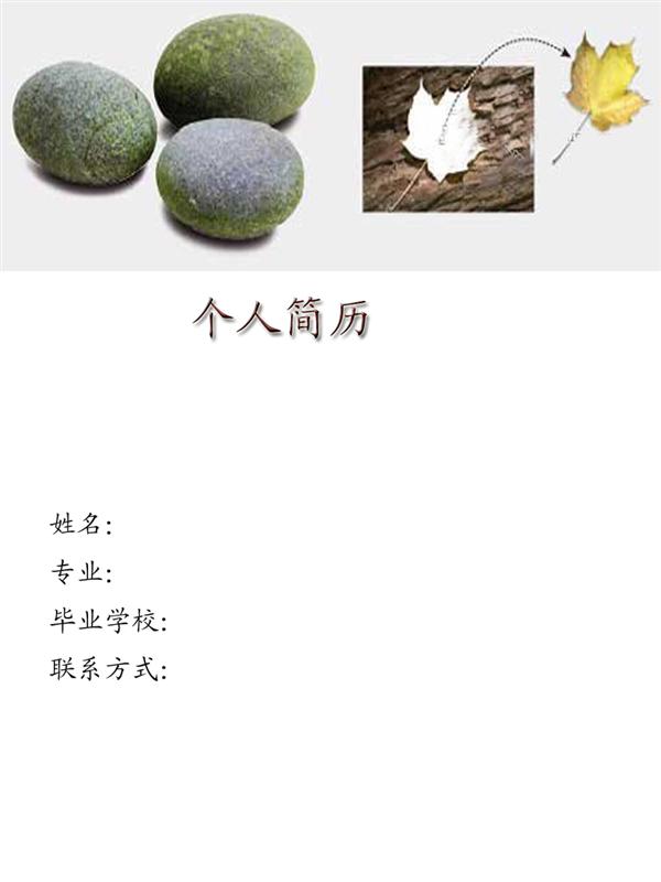 地質學黑白簡歷封面