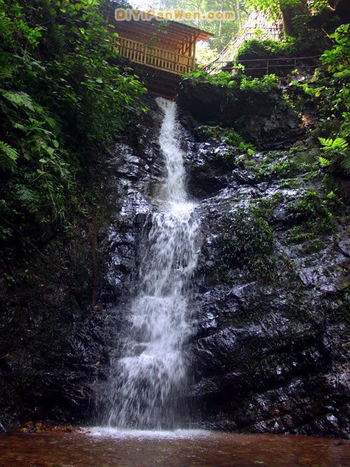 大桂山國家森林公園圖片