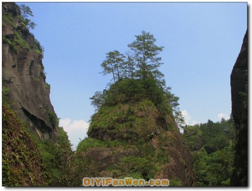 大紅袍景區圖片