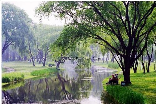 共青森林公園圖片