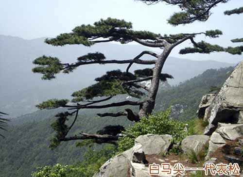 大別山主峰景區