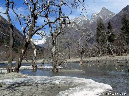 四川四姑娘山雪景圖片