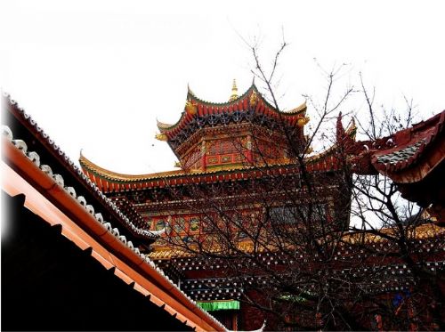 四川康定南無寺圖片