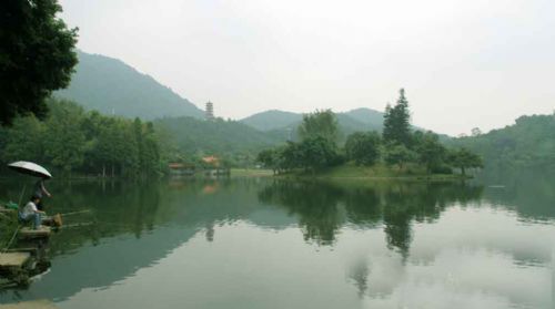 深圳仙湖植物園圖片
