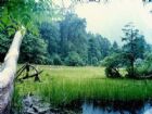 海螺溝冰川森林公園
