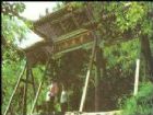 首陽山