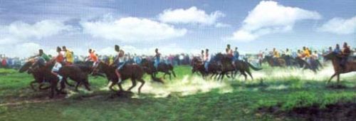 達拉哈草原旅遊區圖片