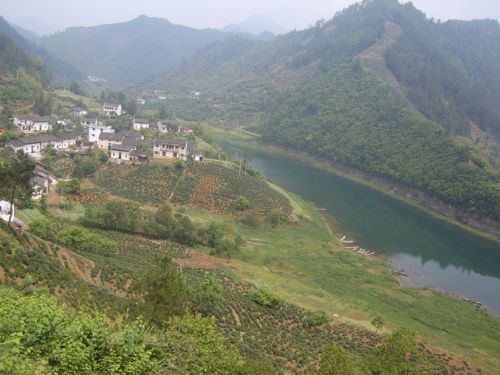 黃山豐樂湖水上人家圖片
