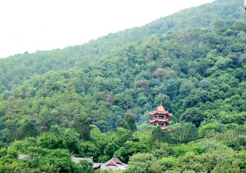 四川瀘山圖片