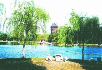 環城翡翠圖片
