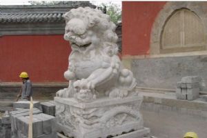 北京大覺寺組圖（3）圖片