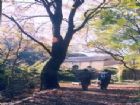 禪窟寺