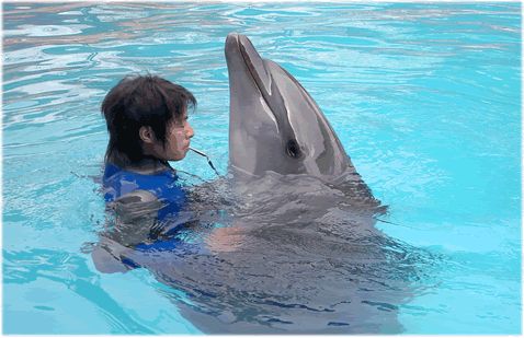 長沙動物園圖片