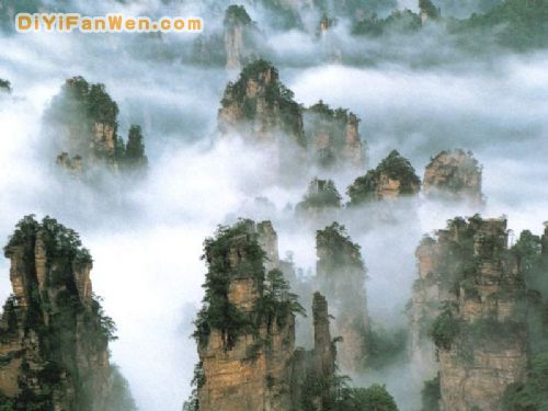 天子山風情圖片