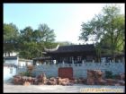 江蘇龍背山森林公園
