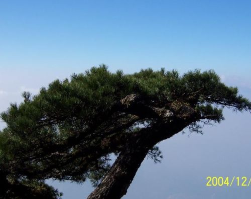五指山風景區圖片