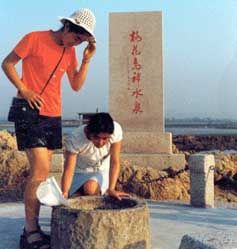 桃花島風情園圖片