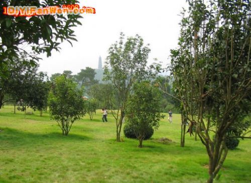 廣西青秀山風景區圖片