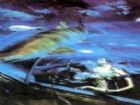 海底世界