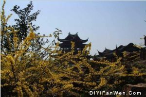同里圖片