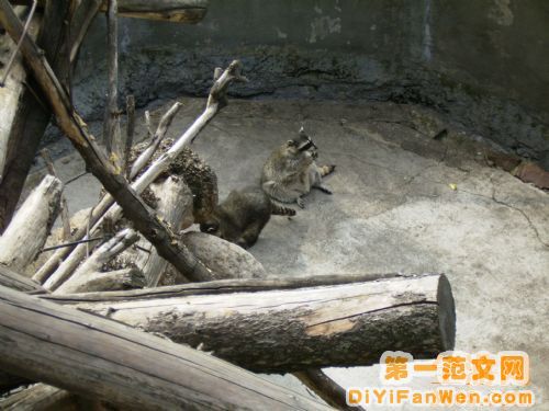 莫斯科動物園圖片