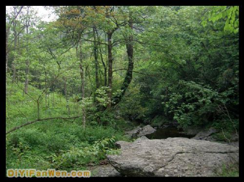 湖南八大公山圖片