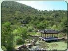 洞庭西山古樟植物園