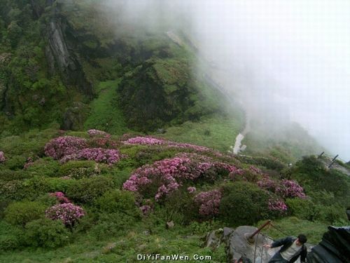 梵淨山圖片