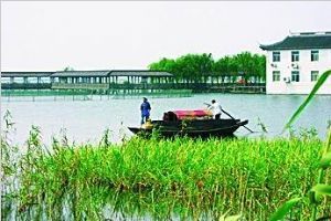 陽澄湖圖片