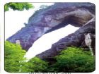 仙象神鼻
