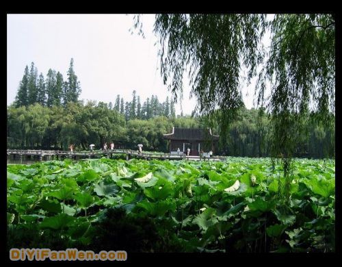 湖南西湖公園圖片