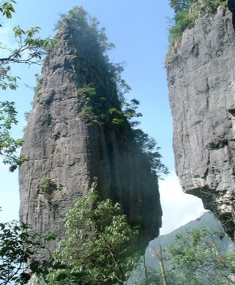 金佛山圖片