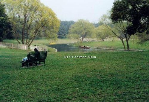 共青森林公園圖片